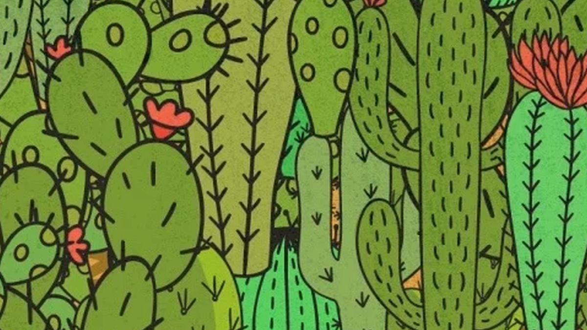 Reto viral: encontrá a la tortuga