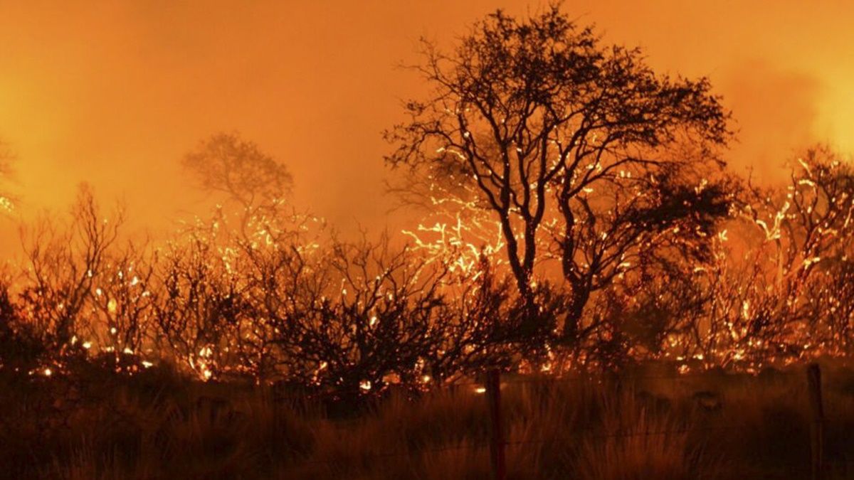 Los incendios en las islas del Paraná fueron récord este año.