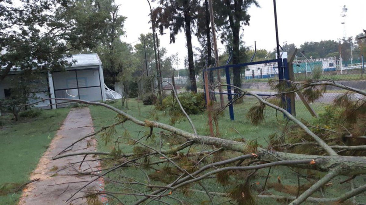 La tormenta dejó árboles y ramas caídas.