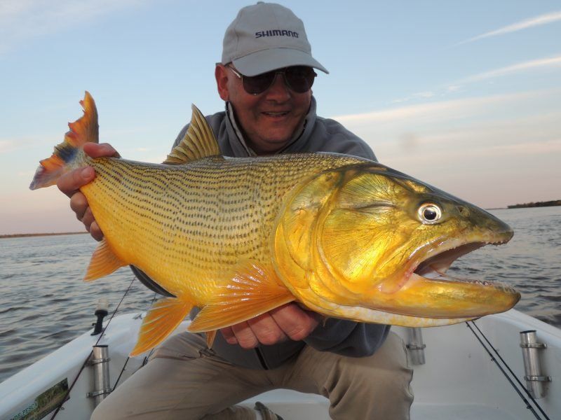 Reconquista color oro