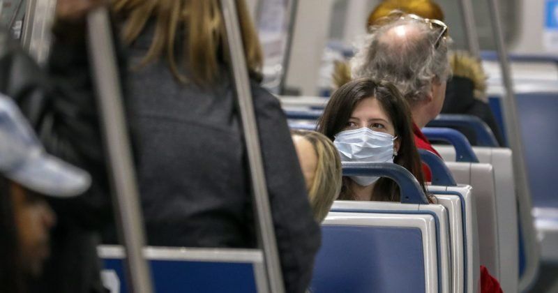 La OMS advirtió el riesgo de una pandemia global que podría ser mortífera