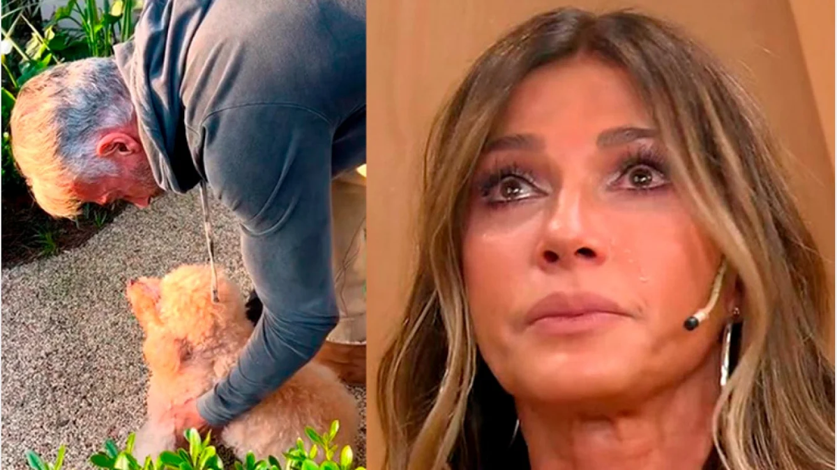 Catherine Fulop angustiada por la muerte de su mascota: "siempre serás el corazón de esta casa"
