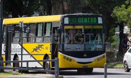 Los colectivos retomarán el servicio a partir de las 5.30 de la mañana del jueves. Los colectivos retomarán el servicio a partir de las 5.30 de la mañana del jueves.