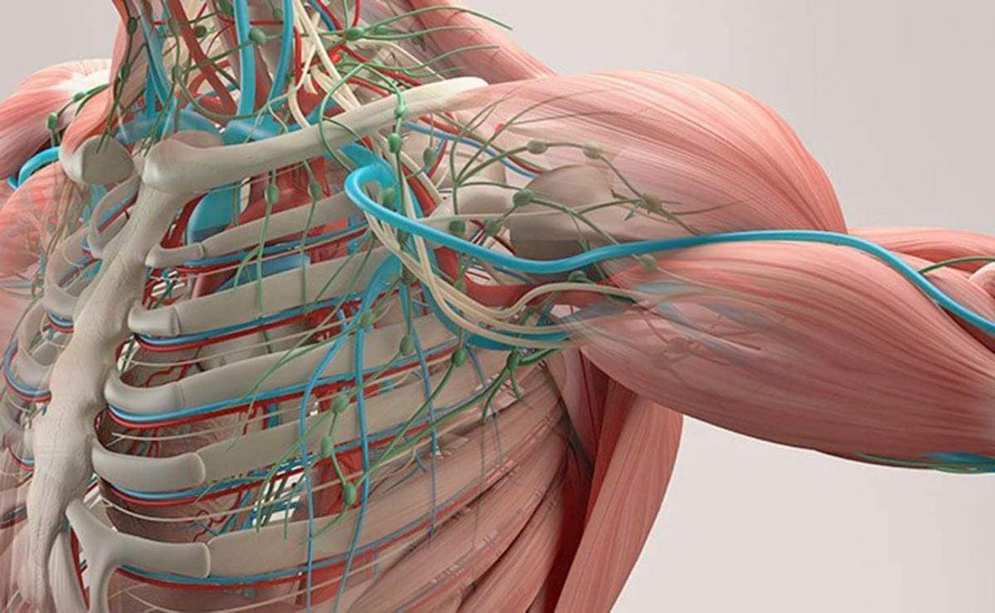 La alimentación es un aspecto fundamental para la vida.
