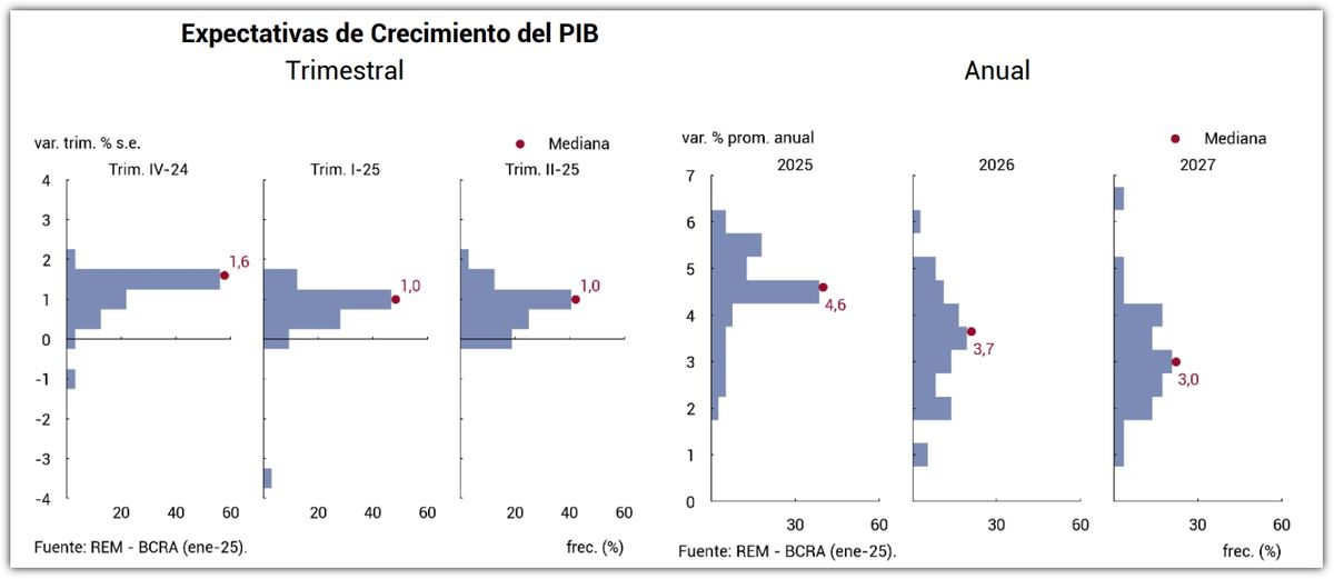 Fuente: REM - BCRA