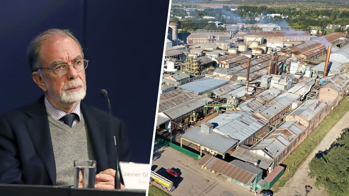 El fiscal&nbsp;Gerardo Pollicita&nbsp;pidi&oacute; la inhibici&oacute;n total de bienes para los due&ntilde;os de la cerealera&nbsp;Vicentin