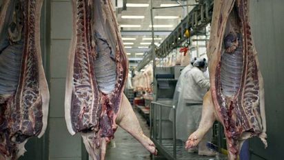Productores avícolas y porcinos alertan por suba de importaciones de carne