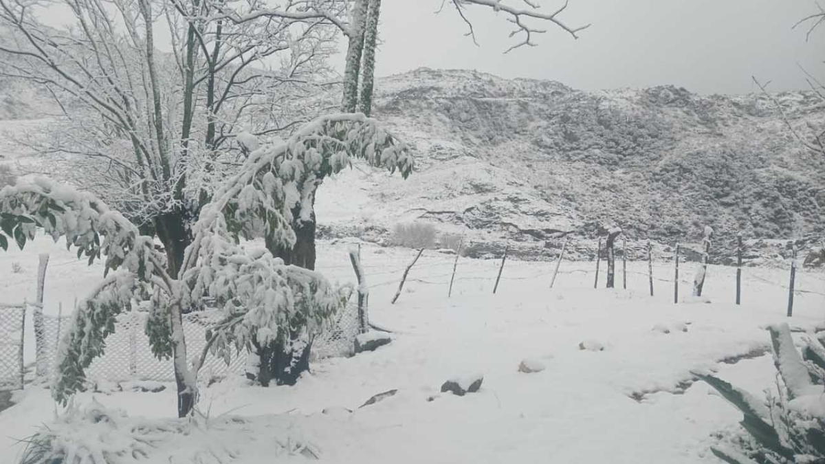 Llegó la ola polar a Córdoba y cayó la primera nevada del año en las Altas Cumbres
