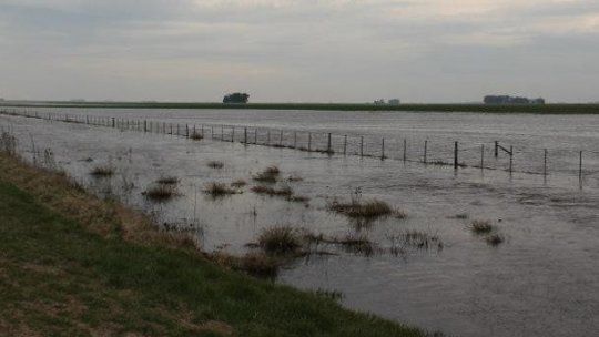 La inminente llegada del fenómeno de El Niño encendió las alarmas en el sector agropecuario de la provincia y así lo indicó en diálogo con AIRE, el presidente de la Sociedad Rural de Santa Fe, Ricardo Argenti. Imagen ilustrativa