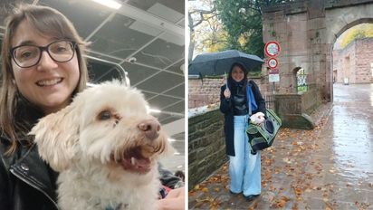 Nanu y Eduardo, el perro viajero de tres patas: la historia santafesina que llegó hasta Alemania