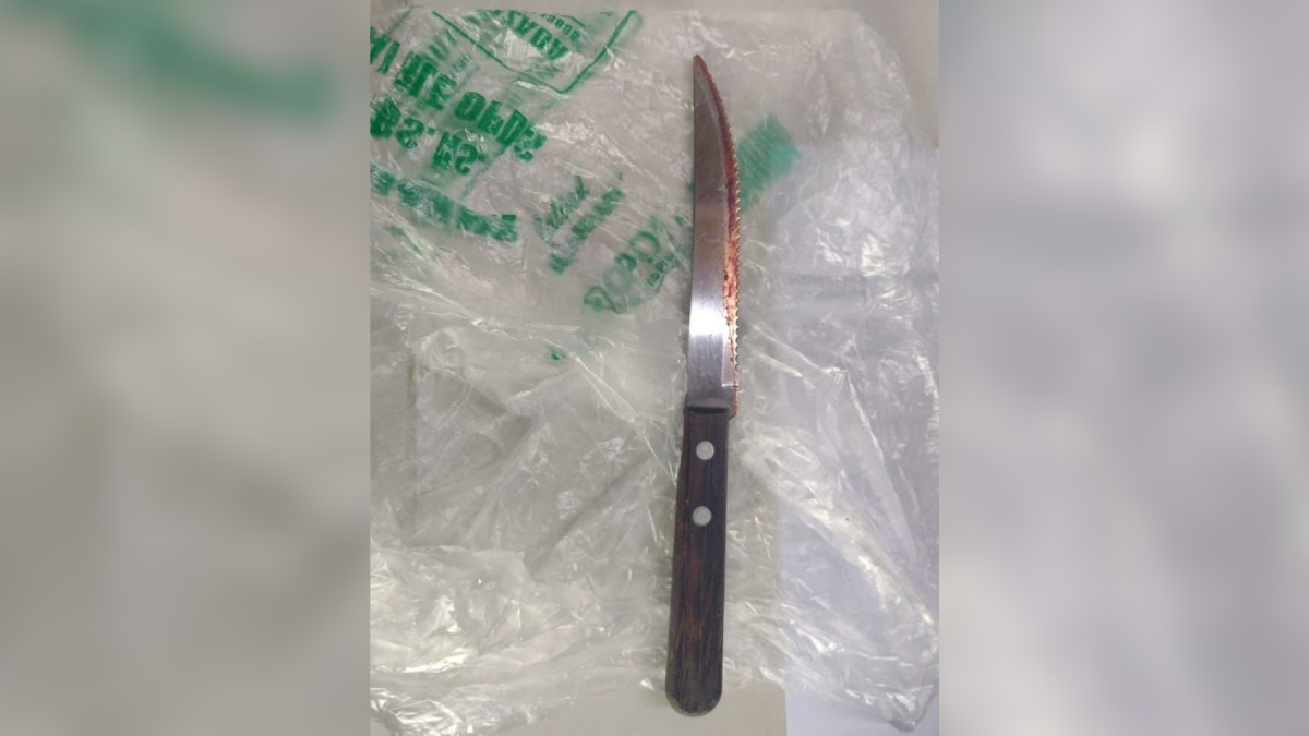 El cuchillo secuestrado por los policías tras el caso en Berisso. El cuchillo secuestrado por los policías tras el caso en Berisso.