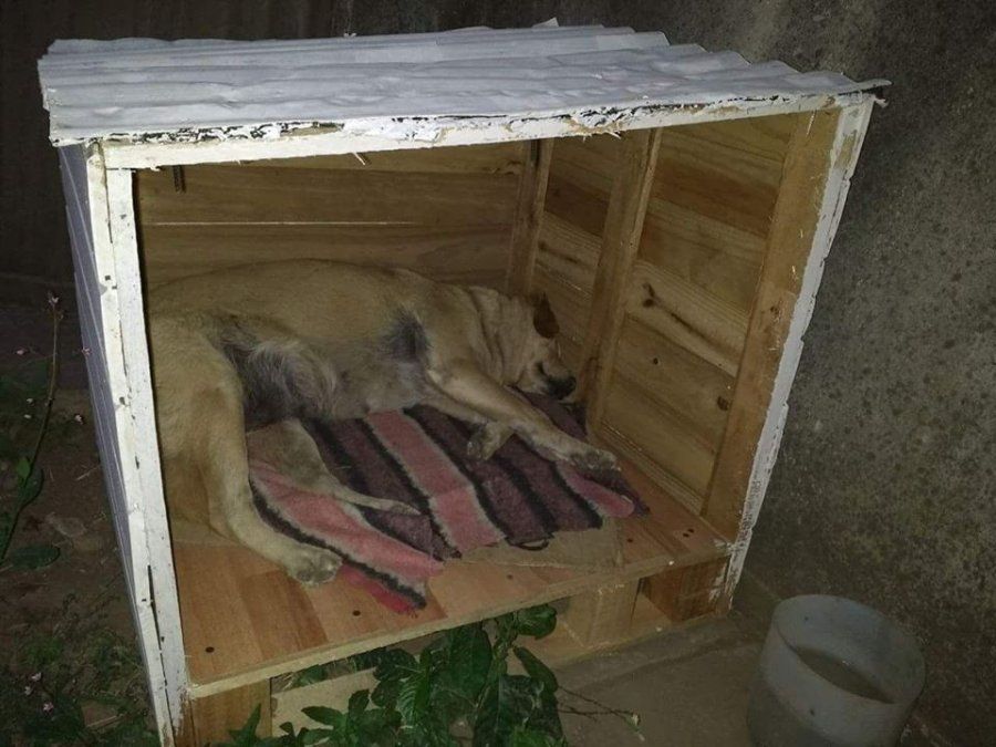 “Un techo para un callejerito” cumplió un año haciendo cuchitas