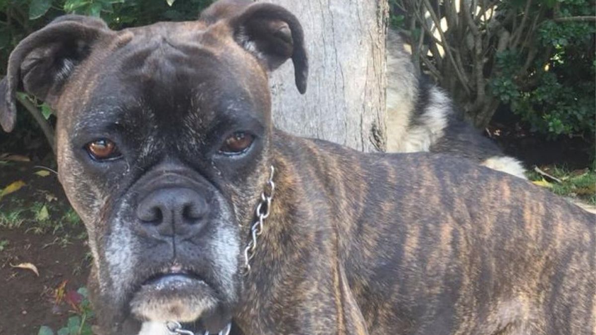 Con la vinculación a proceso