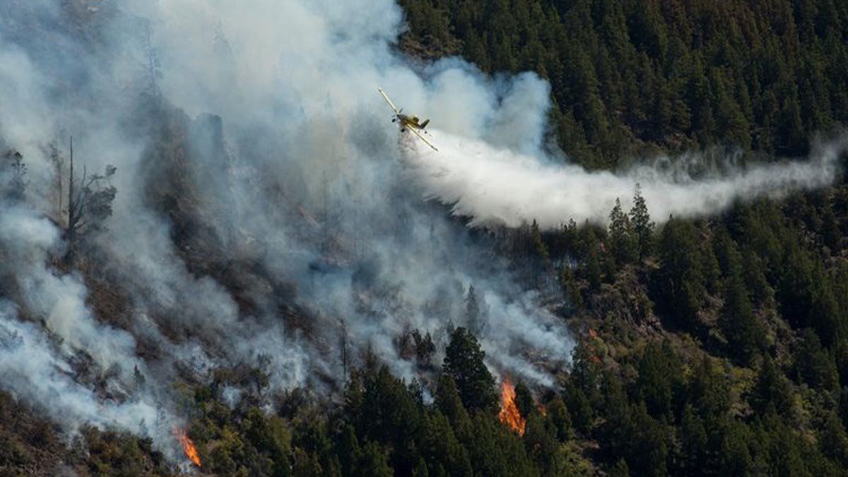 El fuego comenzó en el lago Martín