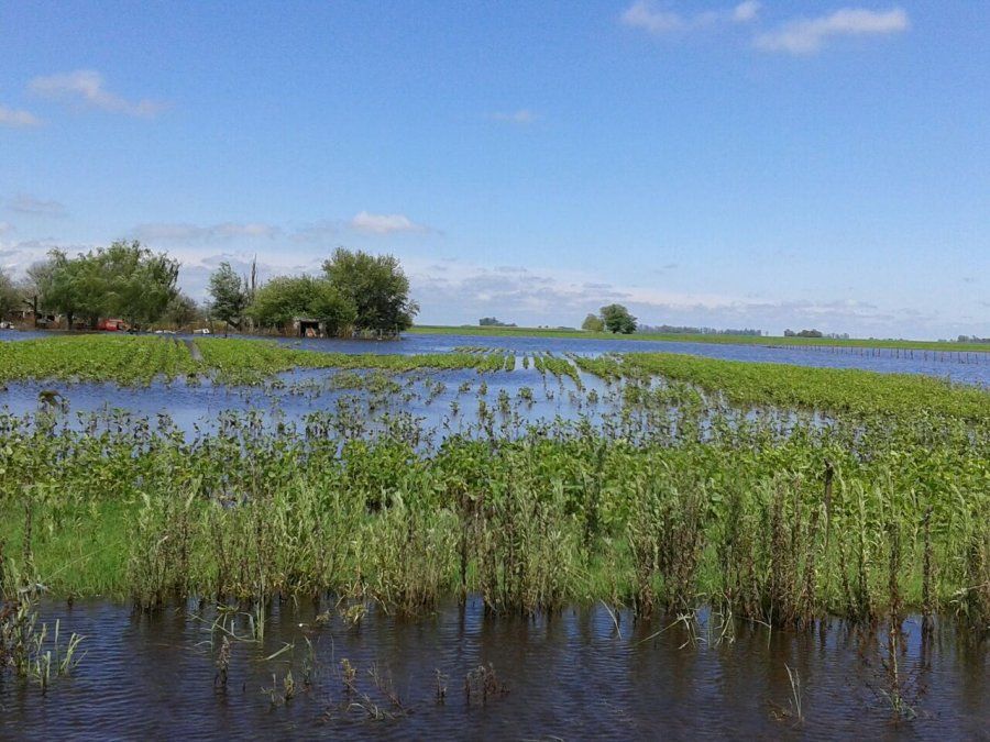 En diálogo con AIRE, el presidente de la Sociedad Rural de Santa Fe, Ricardo Argenti, manifestó su profunda preocupación por las posibles consecuencias en la producción que podría acarrear un evento climático de gran magnitud, al tiempo que advirtió sobre el estado de la infraestructura hídrica en el interior santafesino.