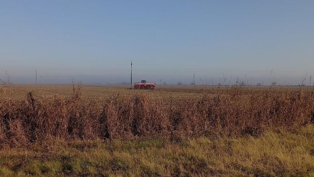 Lote con rastrojo de soja temprana; en pleno proceso de siembra de trigo. Sureste del departamento San Justo. 