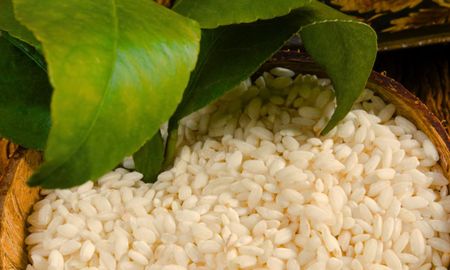 El arroz crudo en las macetas estimula microorganismos que fortalecen las raíces. El arroz crudo en las macetas estimula microorganismos que fortalecen las raíces.