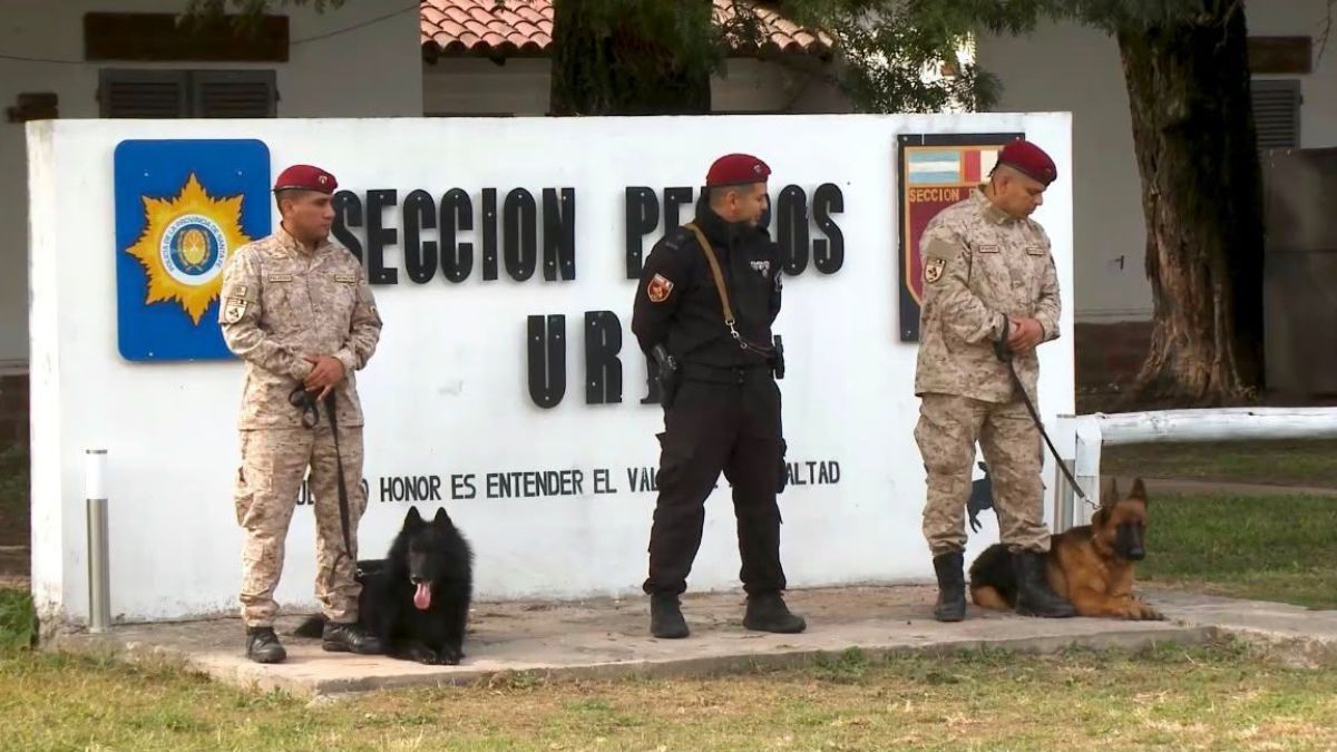 La capacitación se desarrolló en Recreo, en el predio del Instituto de Seguridad Pública donde funciona la Sección Perros de la Policía de Santa Fe. La capacitación se desarrolló en Recreo, en el predio del Instituto de Seguridad Pública donde funciona la Sección Perros de la Policía de Santa Fe.
