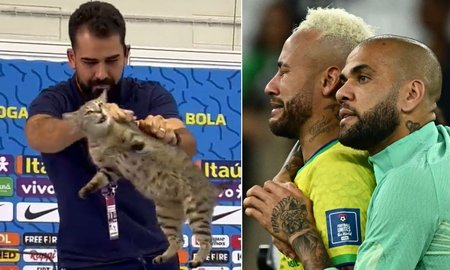 Brasil y la maldición del gato: el jefe de prensa lo maltrató y quedaron eliminados del Mundial de Qatar 2022 Brasil y la maldición del gato: el jefe de prensa lo maltrató y quedaron eliminados del Mundial de Qatar 2022
