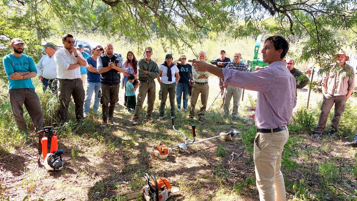 La actividad se centr&oacute; en capacitaciones sobre planes de manejo, aprobaci&oacute;n y posible financiamiento; nuevas tipolog&iacute;as de manejo de bosques con ganader&iacute;a Integral; y criterios para la fiscalizaci&oacute;n del desmonte y los permisos menores.
