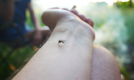 Aire de Santa Fe | Dengue1.png