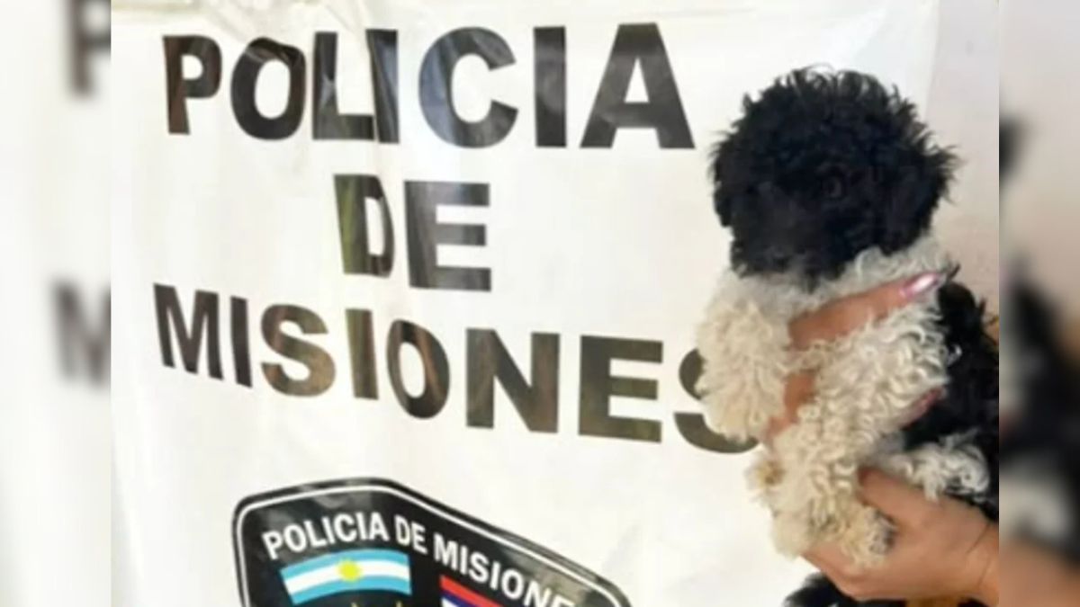 El hecho ocurrió en Misiones tras un robo en una vivienda. Un joven de 18 años fue detenido y tres menores quedaron demorados.&nbsp;