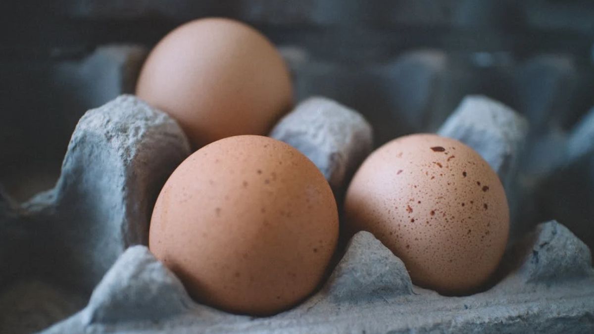 La variación térmica puede deteriorar más rápidamente el alimento e incluso favorecer la proliferación de bacterias como la salmonella.