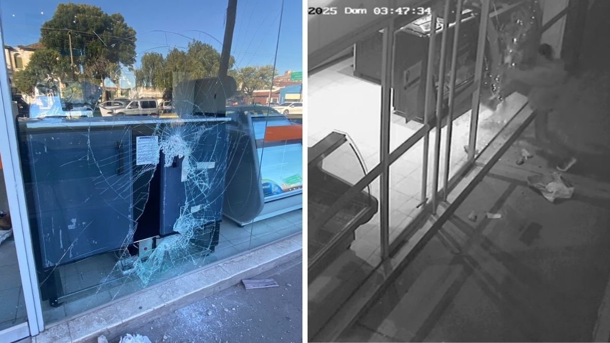 Santa Fe: entró a robar a un negocio y quedó filmado en un video.