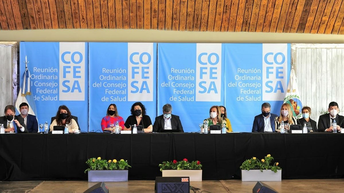 La reunión del Cofesa reunió a todos los ministros de Salud del país y se desarrolló durante el lunes y martes en San Luis.