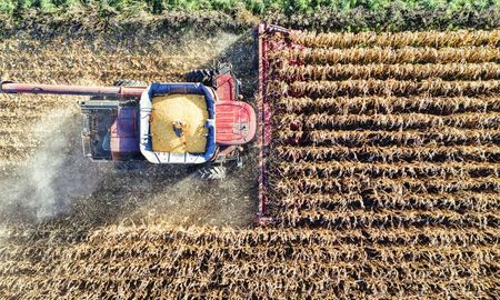 la actividad agropecuaria alcanzo un record historico en diciembre la actividad agropecuaria alcanzo un record historico en diciembre