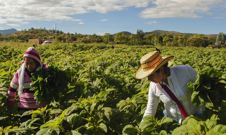 Efemérides del 9 de septiembre: se celebra el Día Mundial de la Agricultura Efemérides del 9 de septiembre: se celebra el Día Mundial de la Agricultura