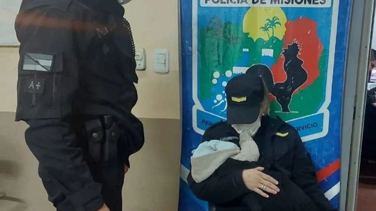 Misiones: hallaron a un bebé de tres meses que fue abandonado en medio de un yerbal en la localidad de Wanda