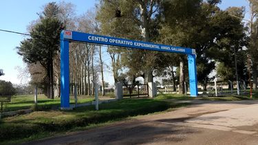 INTA: Santa Fe pierde referentes y peligra la continuidad del Centro Operativo Ángel Gallardo INTA: Santa Fe pierde referentes y peligra la continuidad del Centro Operativo Ángel Gallardo