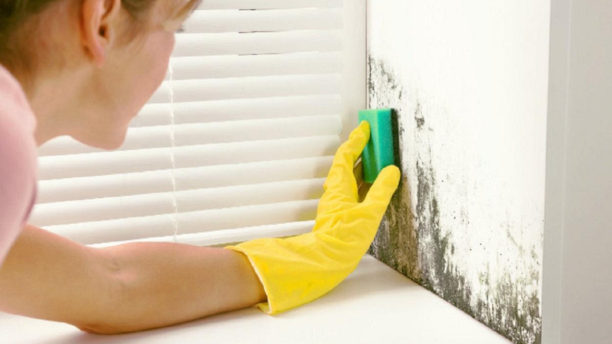 La receta secreta para limpiar las manchas de la pared.