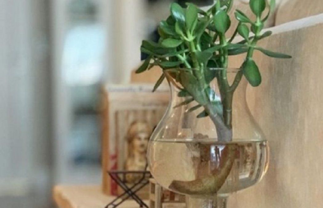 Es muy fácil y sencillo pero hay que elegir la adecuada