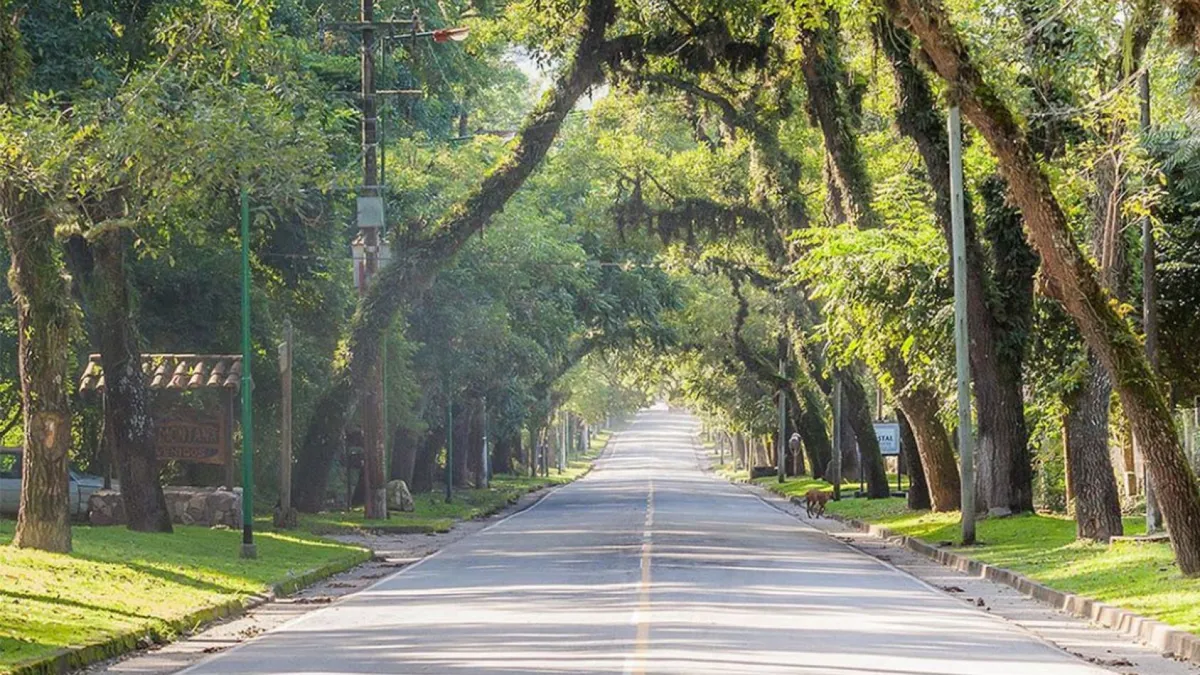 El camino de acceso a San Lorenzo, a 15 kilómetros de Salta capital.
