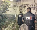 Entre los elementos vinculados a la causa también se incautaron 3.637.400 pesos en efectivo, 1.700 dólares estadounidenses, una balanza digital, entre otros. Entre los elementos vinculados a la causa también se incautaron 3.637.400 pesos en efectivo, 1.700 dólares estadounidenses, una balanza digital, entre otros.