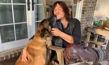 Falleció Seven: el fiel compañero de Daryl Dixon. Falleció Seven: el fiel compañero de Daryl Dixon.