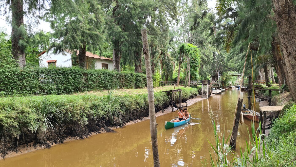 Recorrer el Delta del Paraná es uno de los atractivos más románticos de todos. Recorrer el Delta del Paraná es uno de los atractivos más románticos de todos.