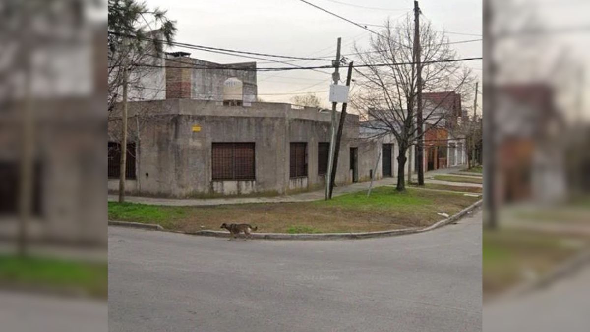 El hecho tuvo lugar en la intersección de Mario Bravo y Ginebra, en el límite entre Villa Centenario y Fiorito. El hecho tuvo lugar en la intersección de Mario Bravo y Ginebra, en el límite entre Villa Centenario y Fiorito.