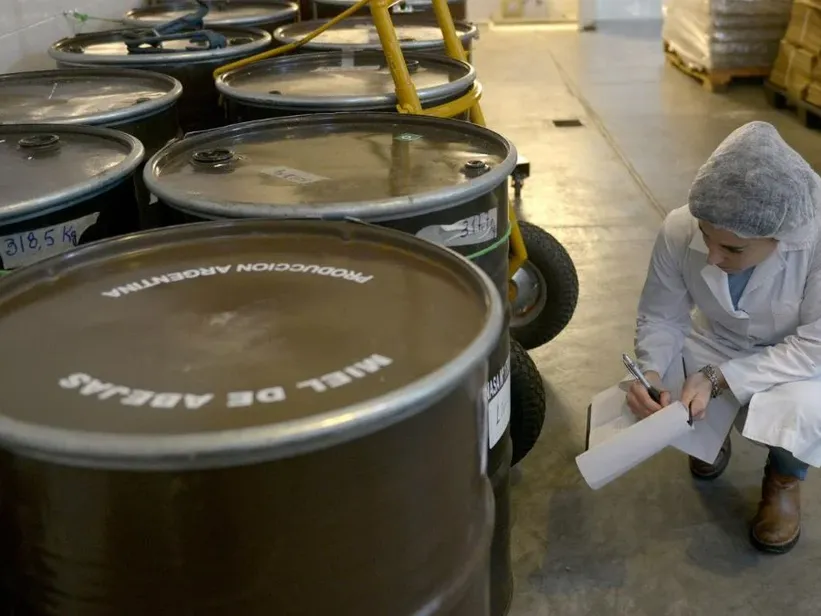 Exportaciones de miel: Argentina casi duplicó ventas y marcó un récord histórico Exportaciones de miel: Argentina casi duplicó ventas y marcó un récord histórico