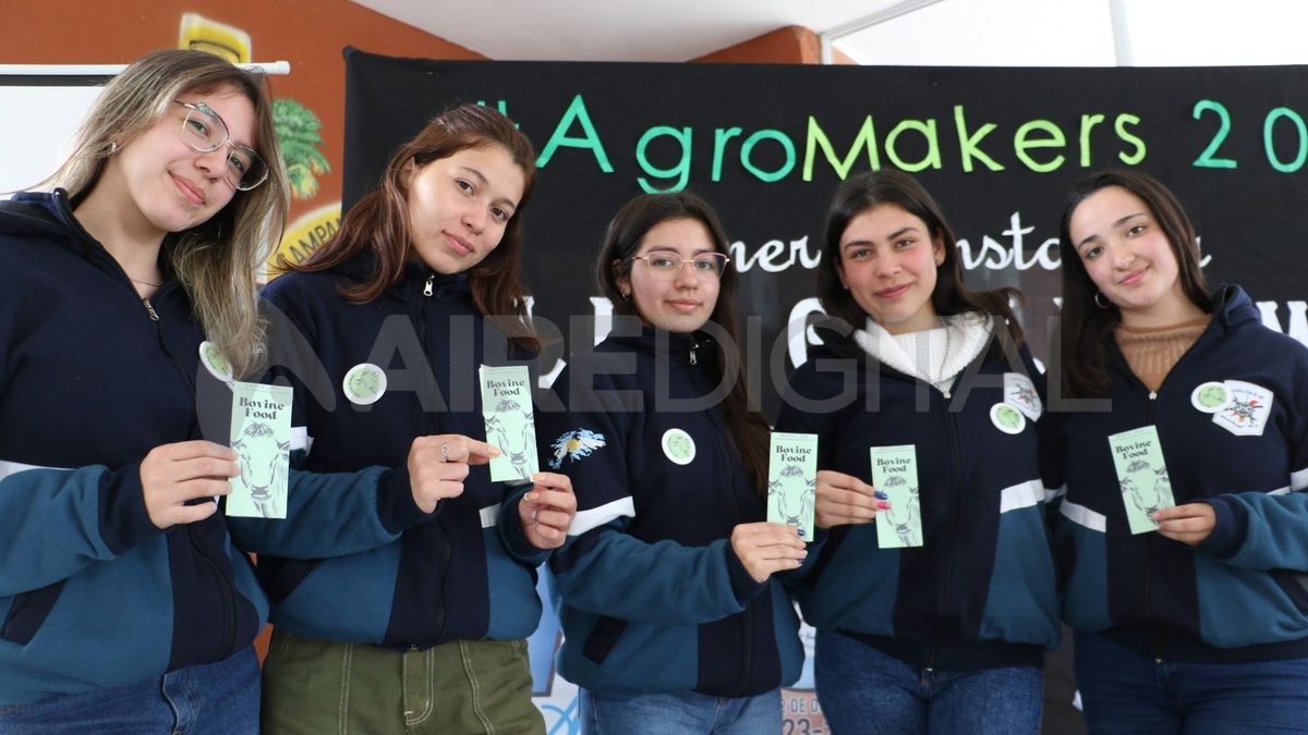 Los proyectos seleccionados en las rondas locales pasan a la edición regional, donde tienen la posibilidad de competir por un lugar en la instancia provincial. Los proyectos seleccionados en las rondas locales pasan a la edición regional, donde tienen la posibilidad de competir por un lugar en la instancia provincial.