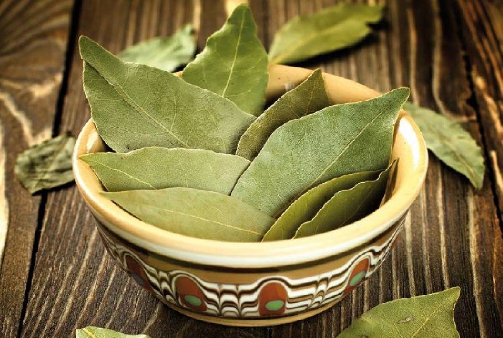 Quemar laurel ayuda a renovar las energías