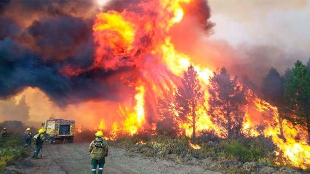 Los incendios forestales continúan afectando gravemente a la Patagonia.
