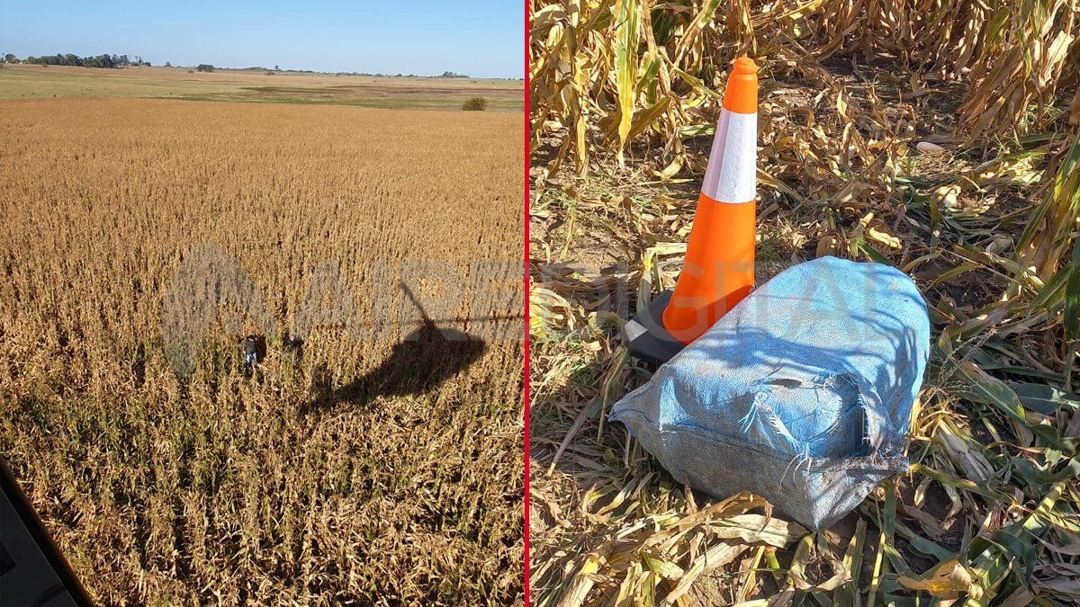 Dos cazadores hallaron en un campo de Juan Bernabé Molina las bolsas de arpillera con cocaína de máxima pureza.