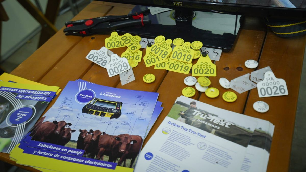 Con Trazamax, los tambos pueden apartar vacas sin intervención manual ni errores.