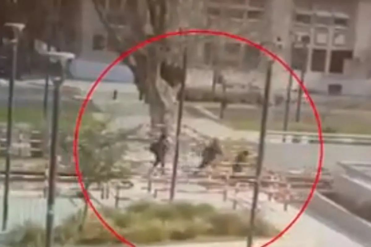 El hombre recorría Puerto Madero con un cuchillo de cocina