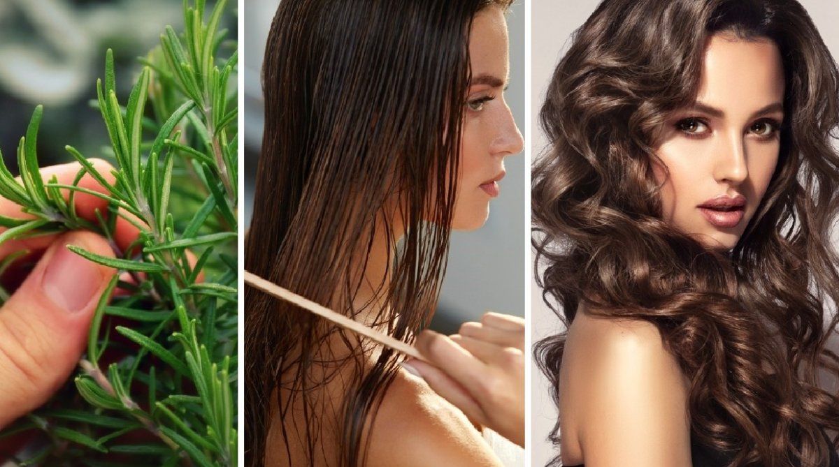 3 preparados con romero para cuidar tu cabello