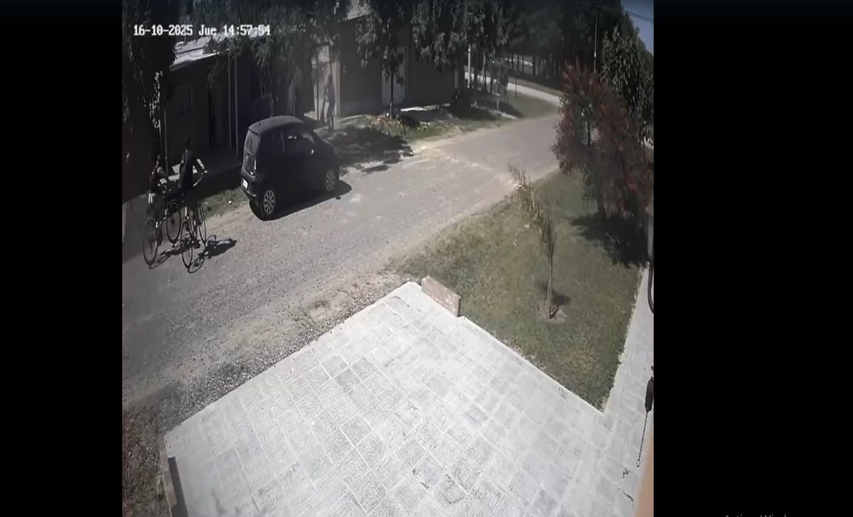 Un video dado a conocer este jueves por la tarde