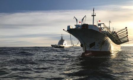 Los barcos que ingresan ilegalmente al mar argentino depredan a las especies que habitan en esas aguas. Los barcos que ingresan ilegalmente al mar argentino depredan a las especies que habitan en esas aguas.
